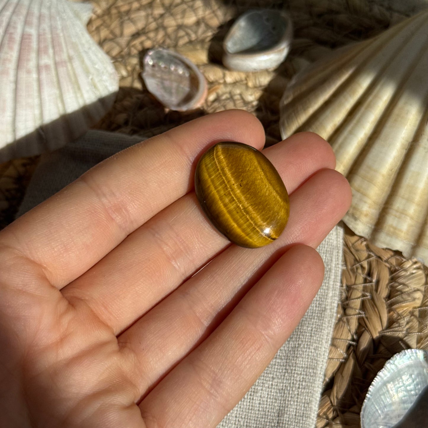 Tigerauge Cabochon ~ TZ8