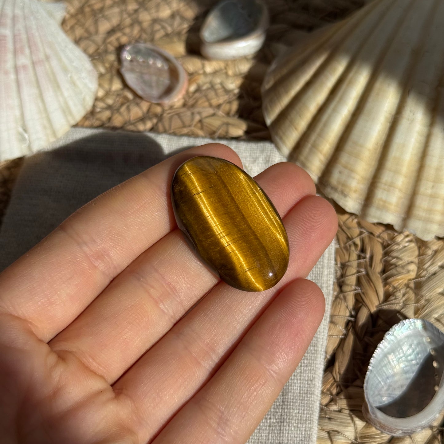 Tigerauge Cabochon ~ TN11