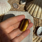 Tigerauge Cabochon ~ TF10