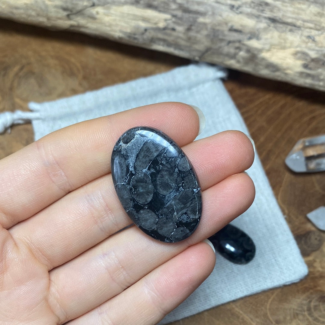 Fossile Koralle Cabochon ~ d8