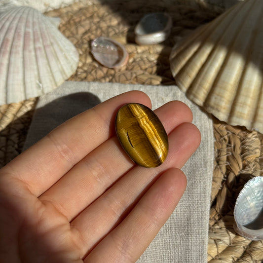 Tigerauge Cabochon ~ TA10