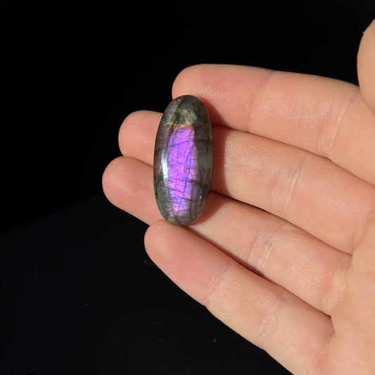 Lila Labradorit Cabochon ~ 14ZZ