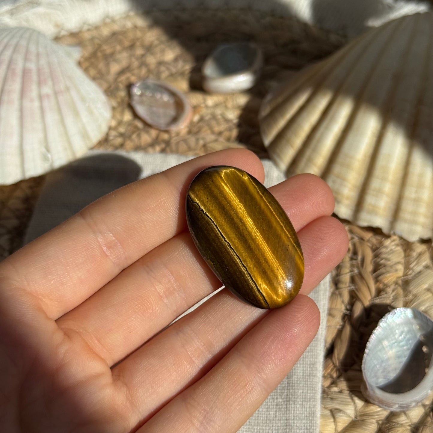 Tigerauge Cabochon ~ TC14