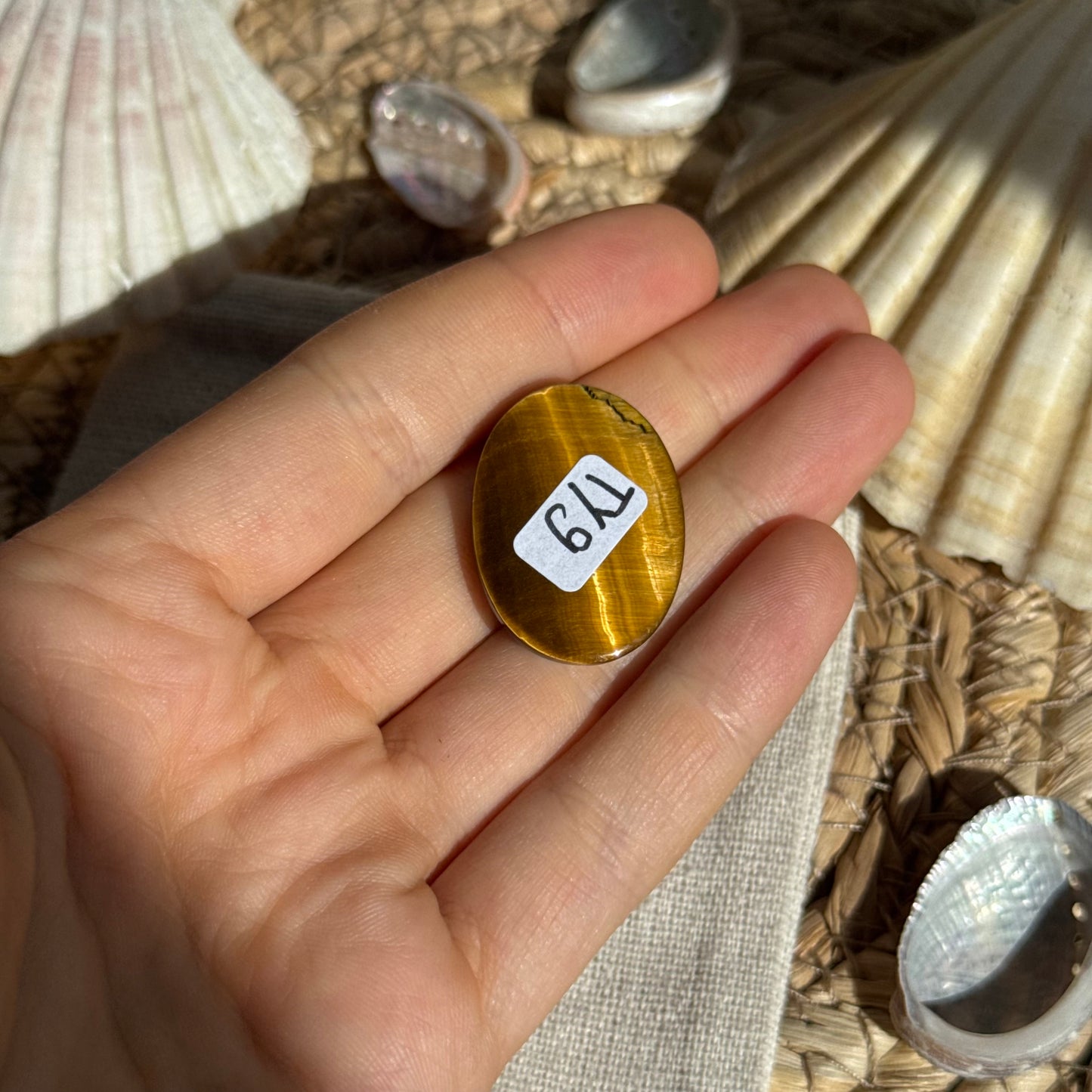 Tigerauge Cabochon ~ TY9