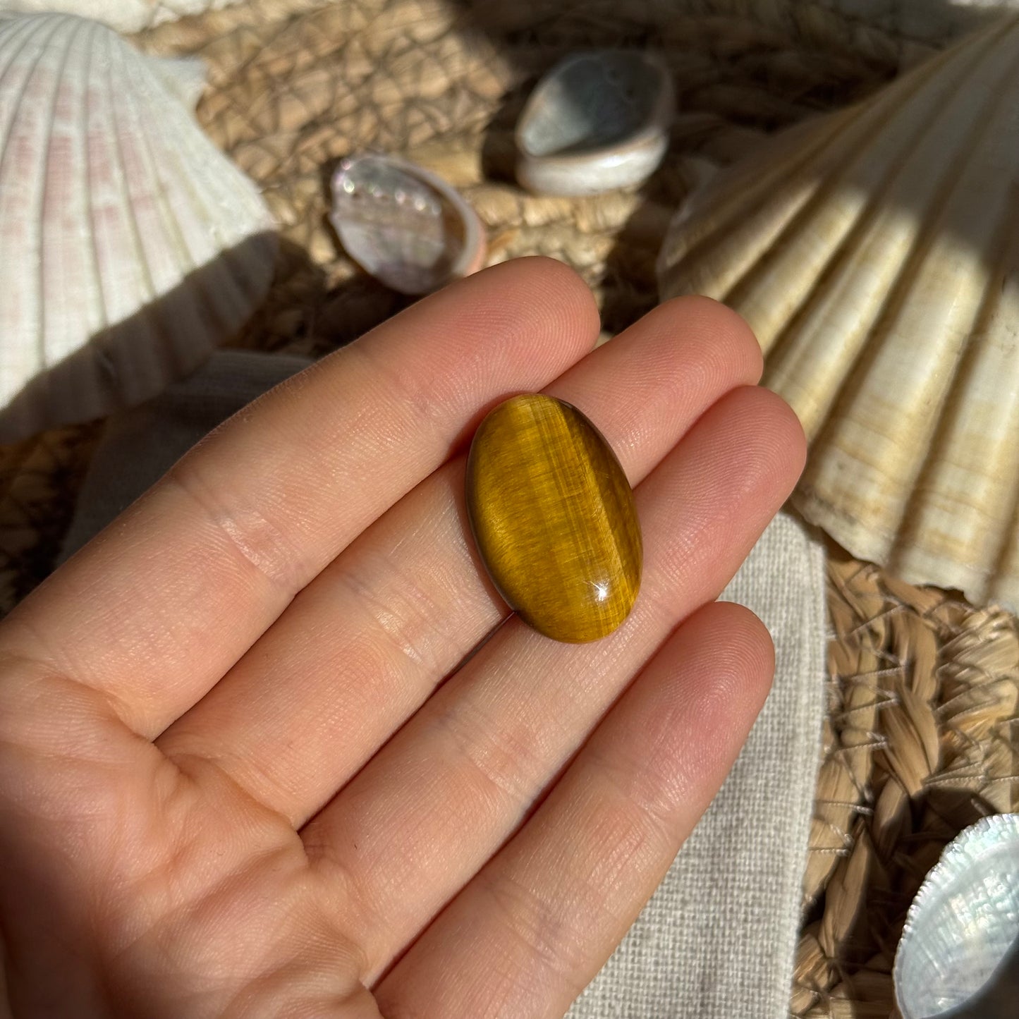Tigerauge Cabochon ~ TP6