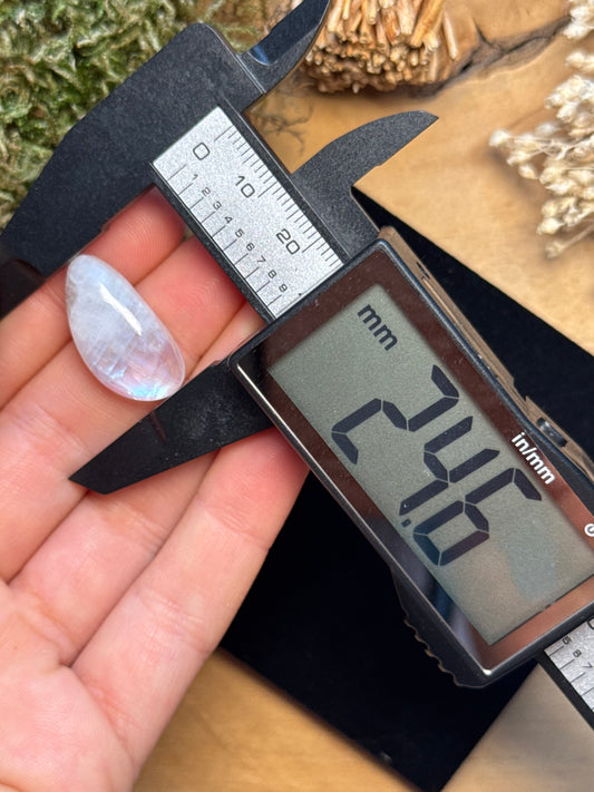 Regenbogen Mondstein /Weißer Labradorit ~ 8KN