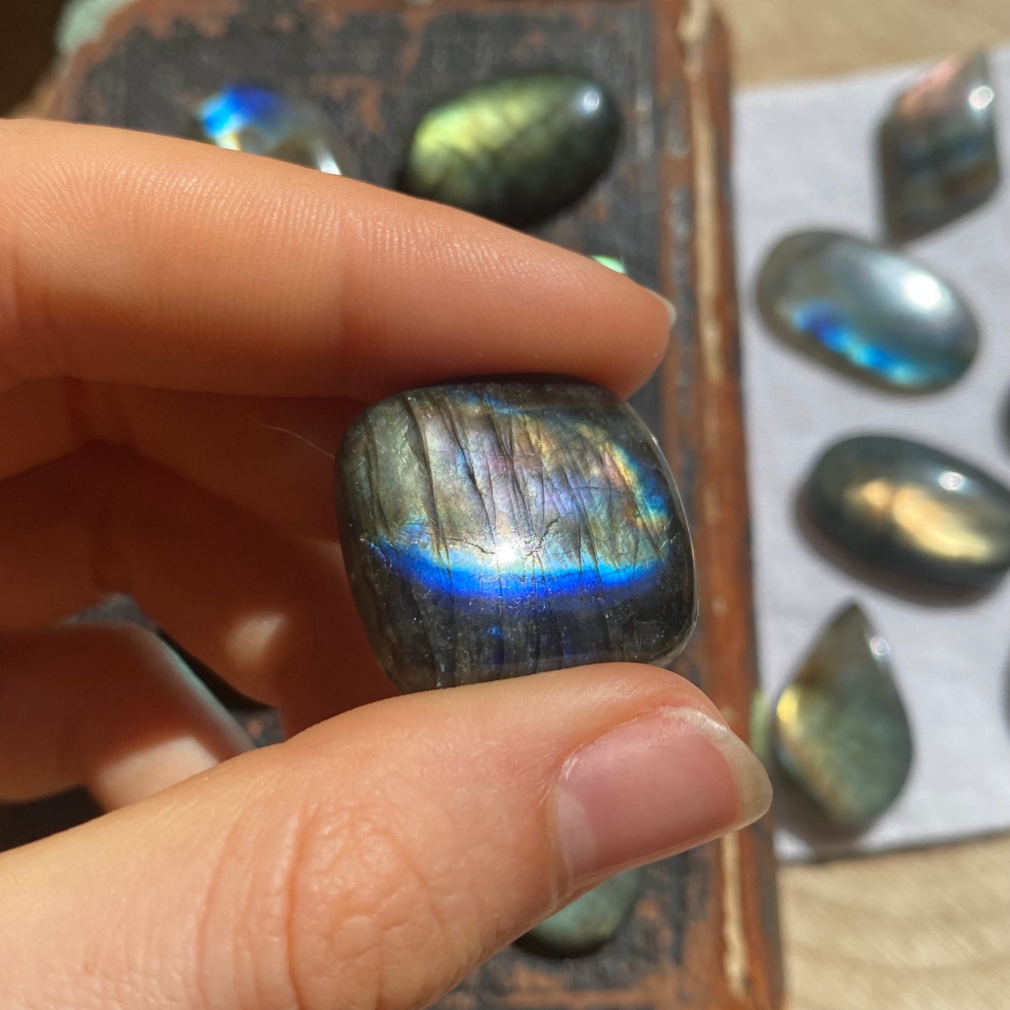 Labradorit Cabochon ~ 5XO