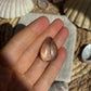 Turmalin Quarz Cabochon ~ F10