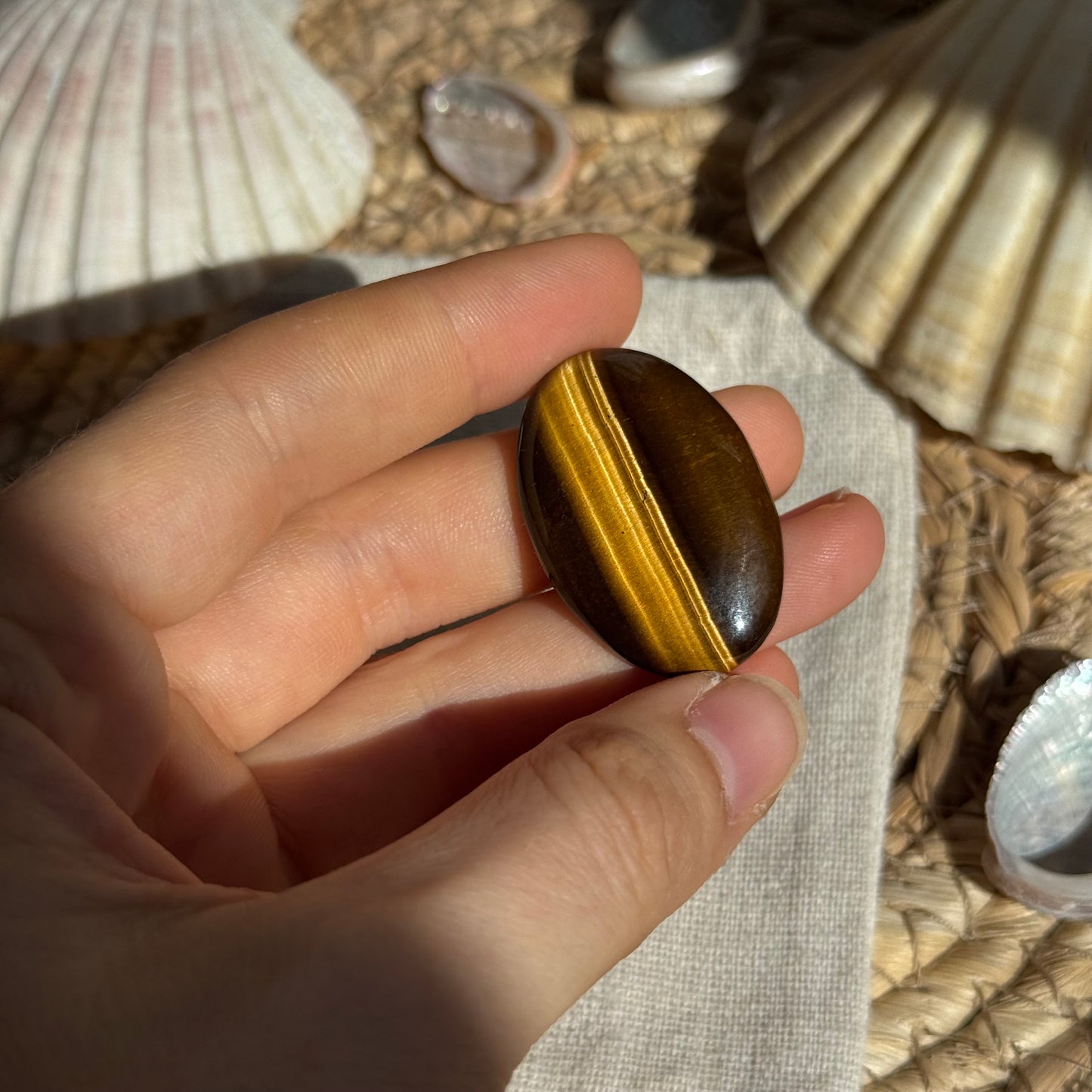 Tigerauge Cabochon ~ TA13