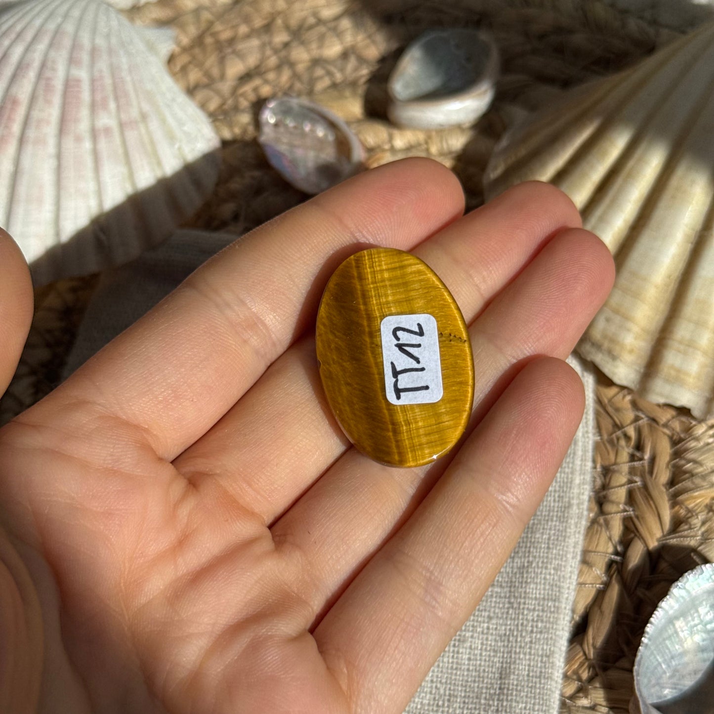 Tigerauge Cabochon ~ TT12