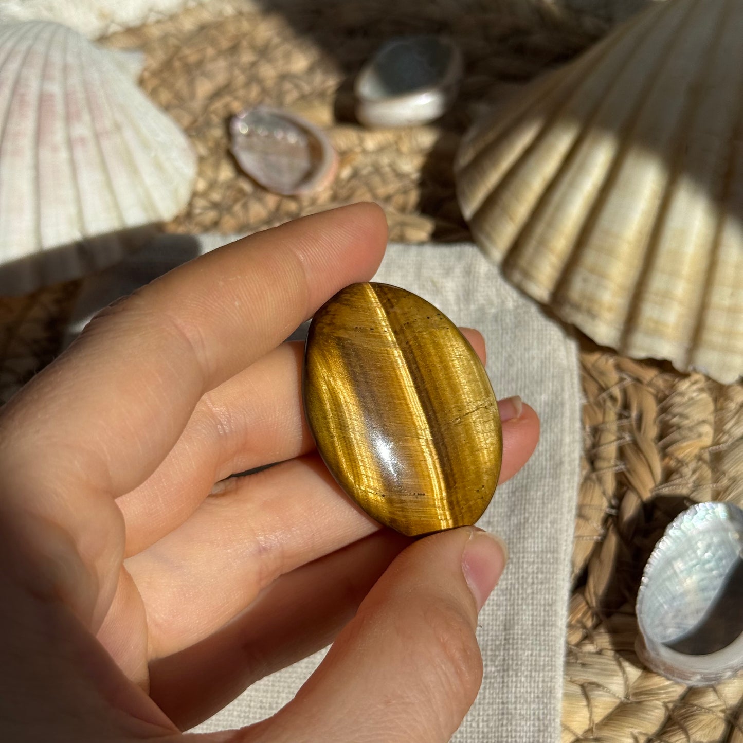Tigerauge Cabochon ~ TA20
