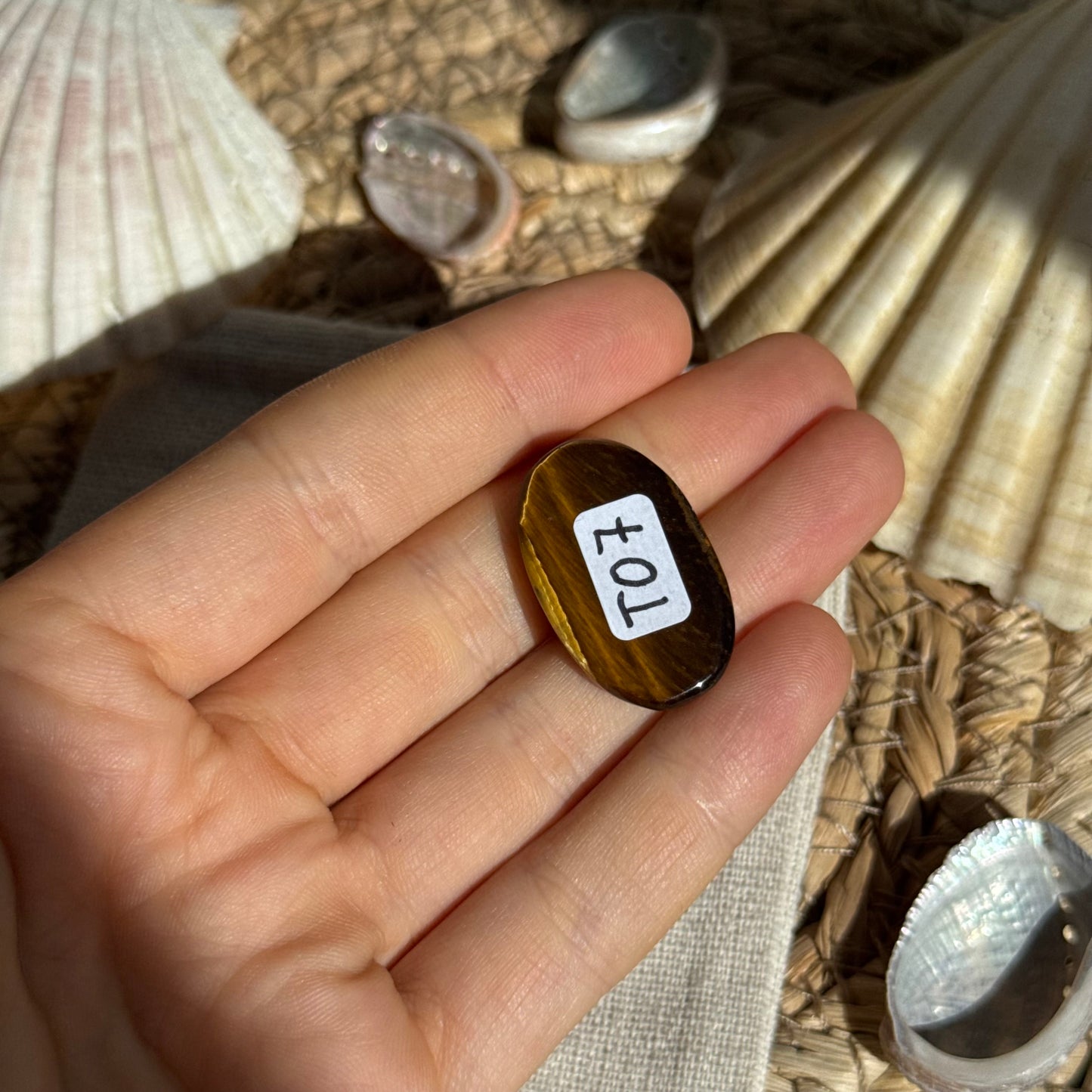 Tigerauge Cabochon ~ TO7