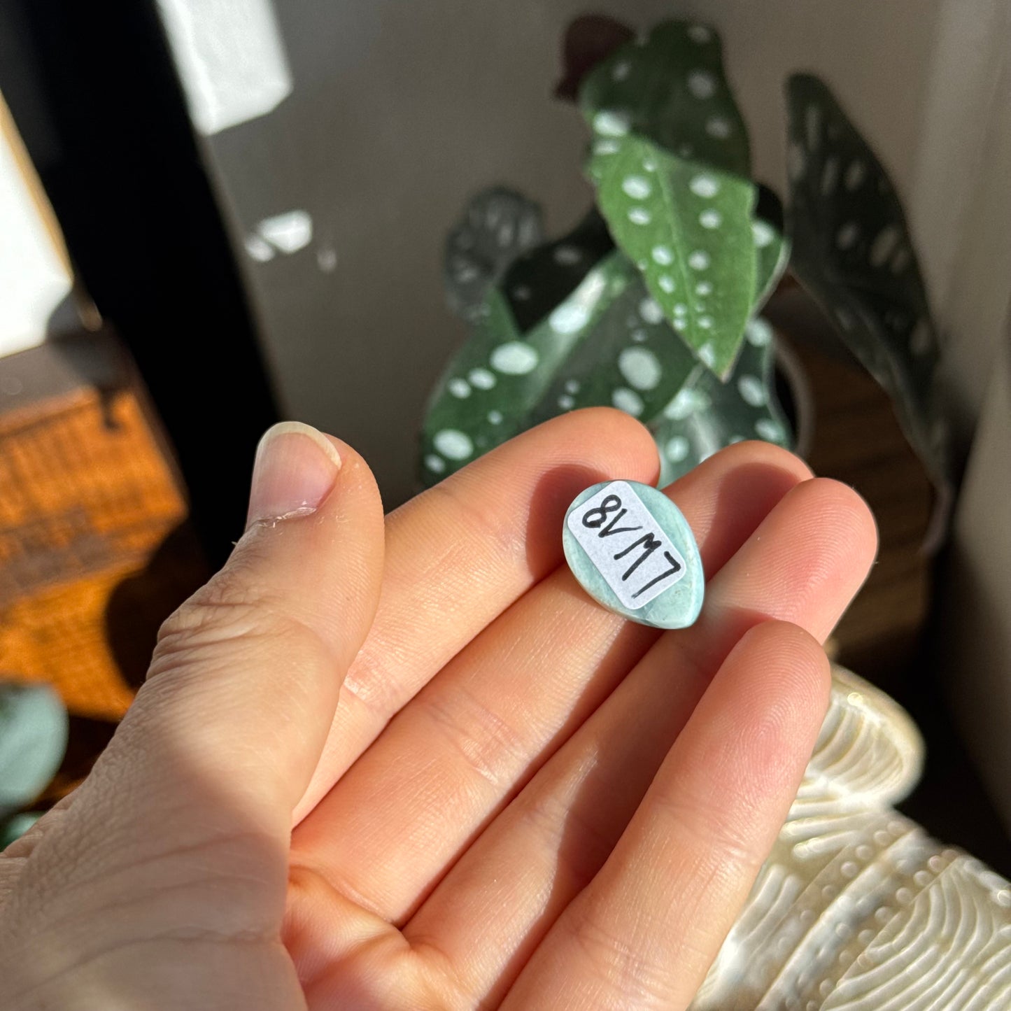 Larimar Cabochon ~ LW18