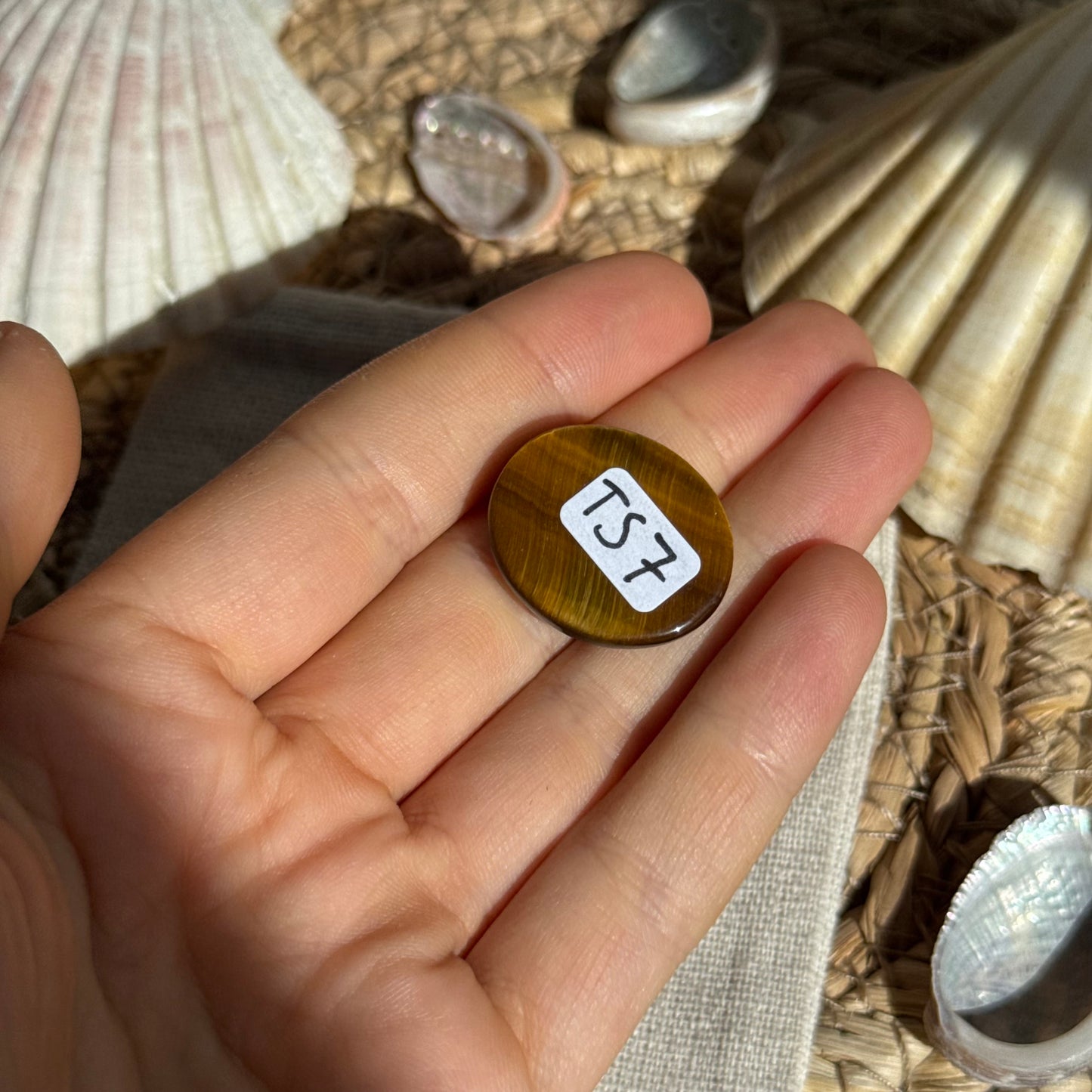Tigerauge Cabochon ~ TS7