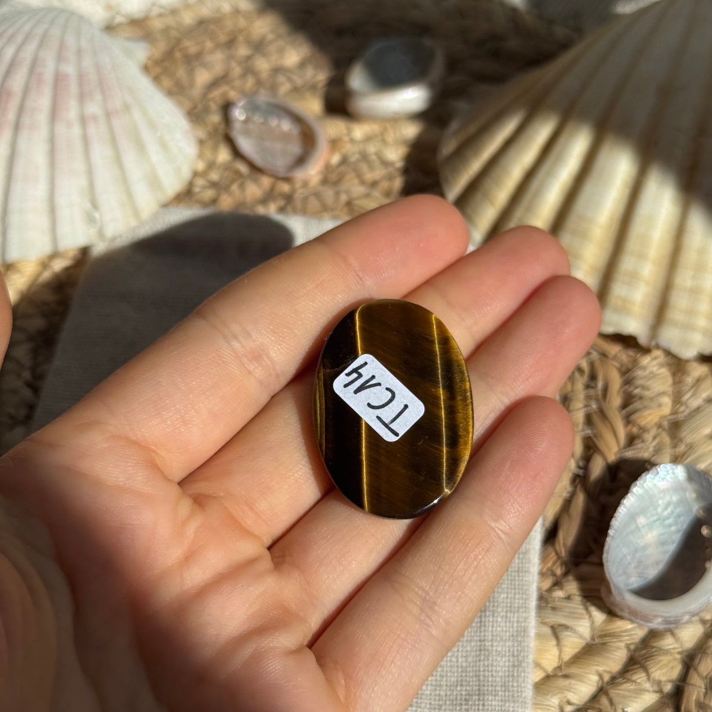Tigerauge Cabochon ~ TC14