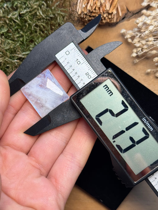 Regenbogen Mondstein /Weißer Labradorit ~ 15KE