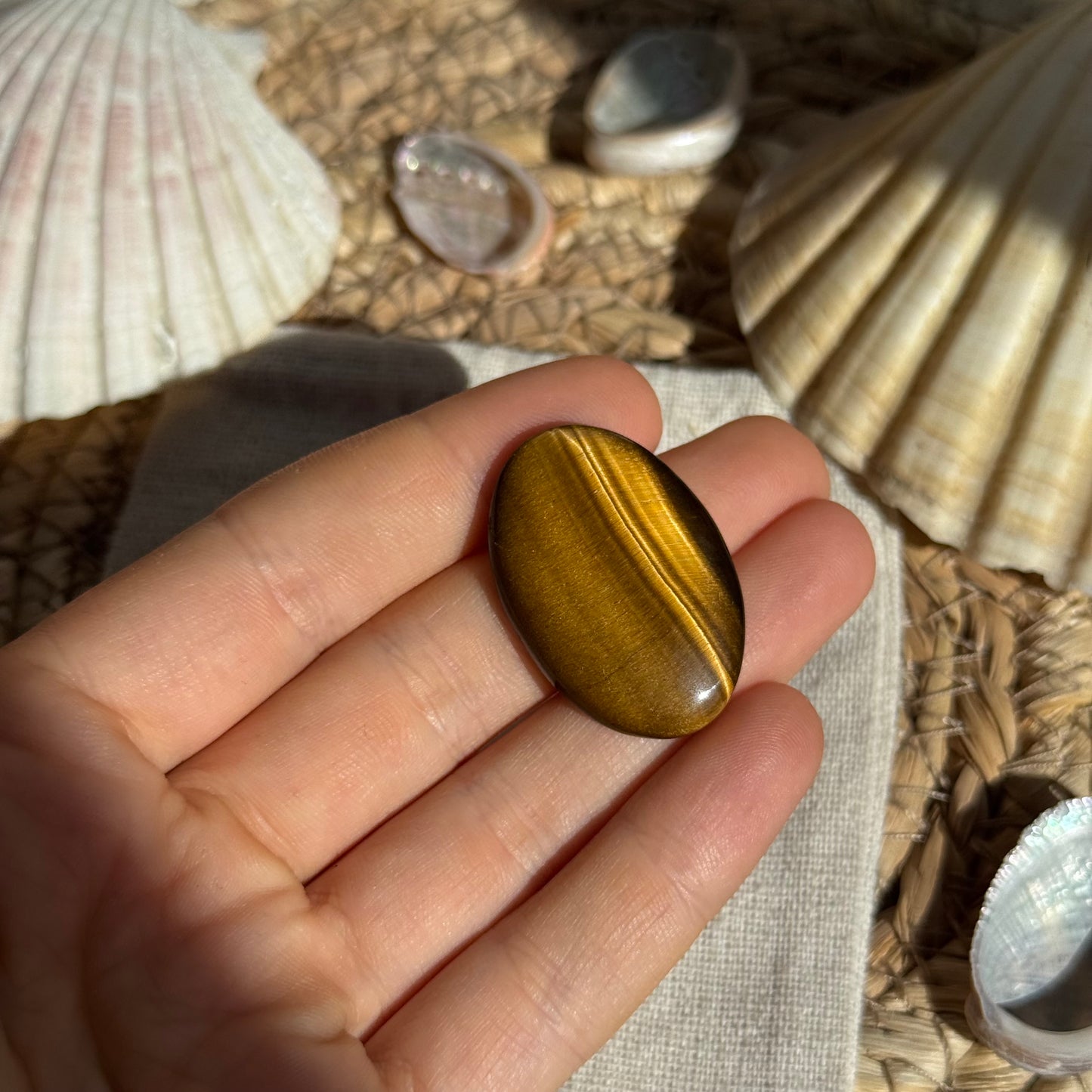 Tigerauge Cabochon ~ TO12