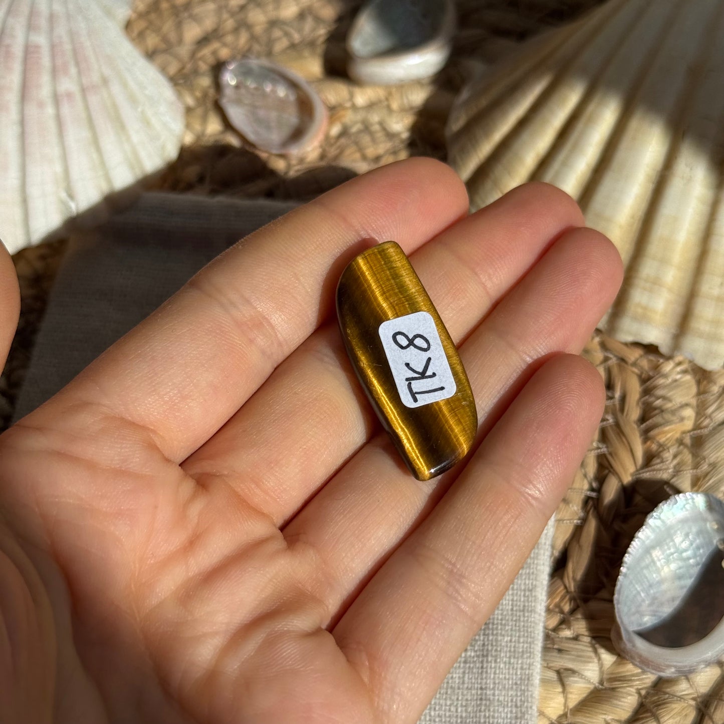 Tigerauge Cabochon ~ TK8
