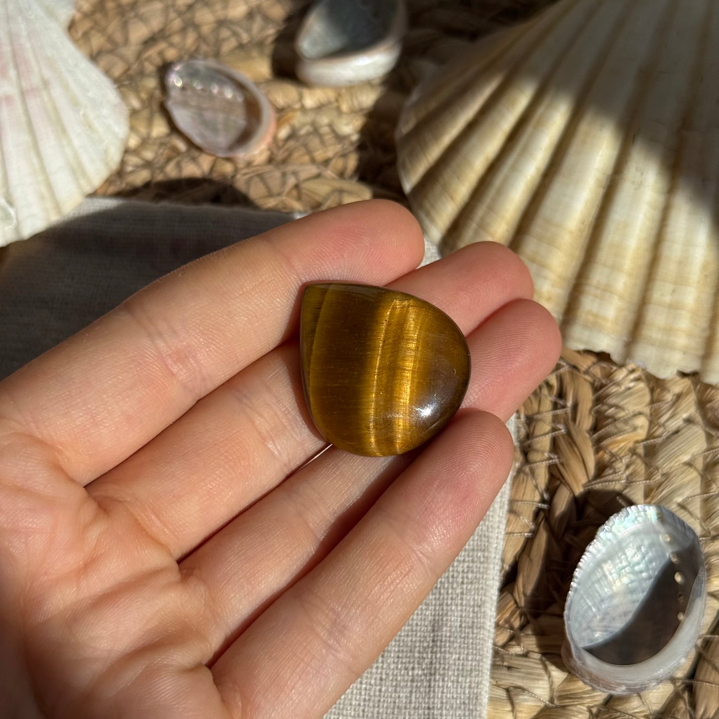 Tigerauge Cabochon ~ TM11