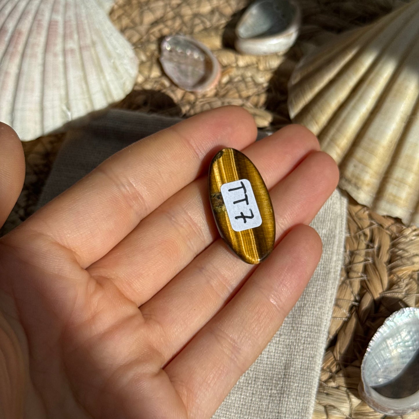 Tigerauge Cabochon ~ TT7