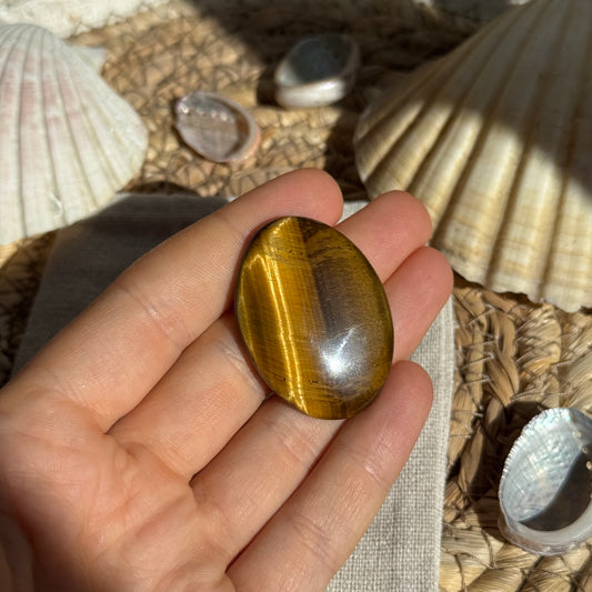 Tigerauge Cabochon ~ TA20