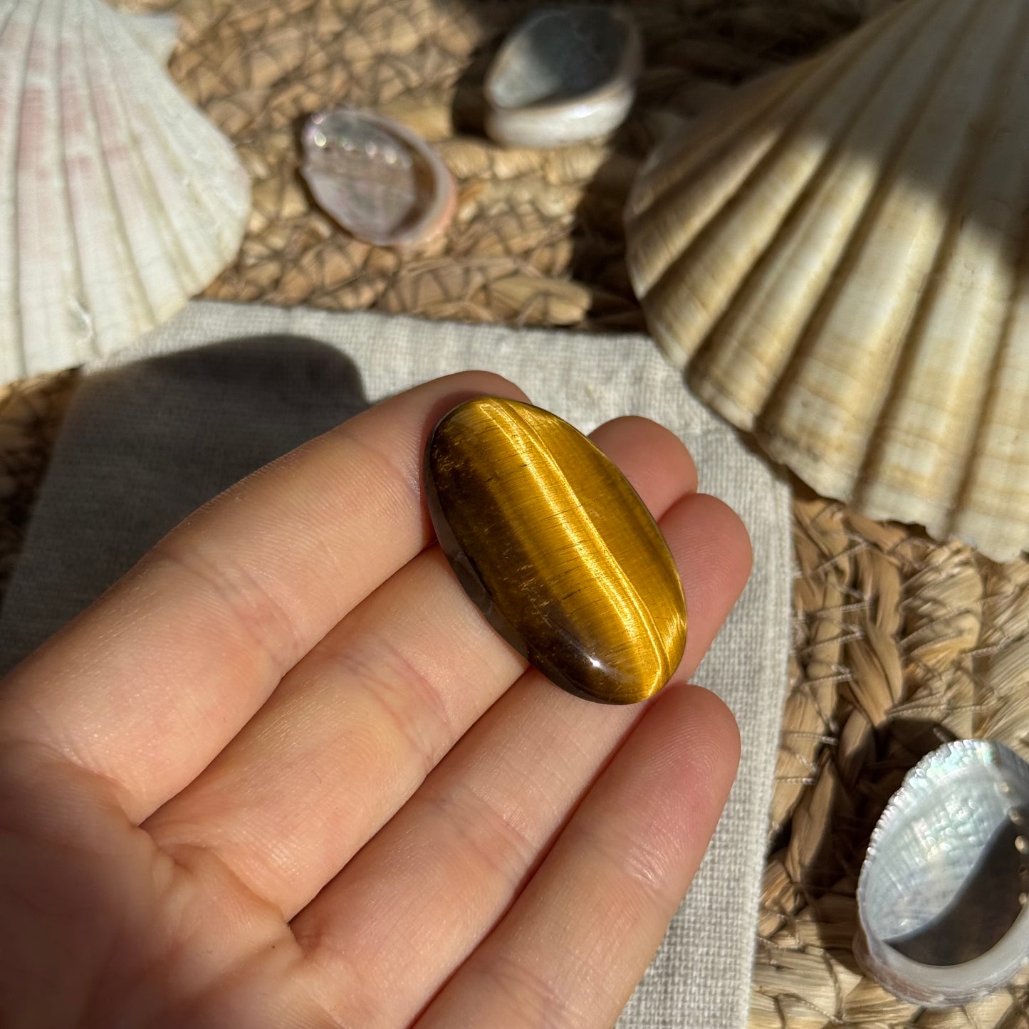 Tigerauge Cabochon ~ TN11