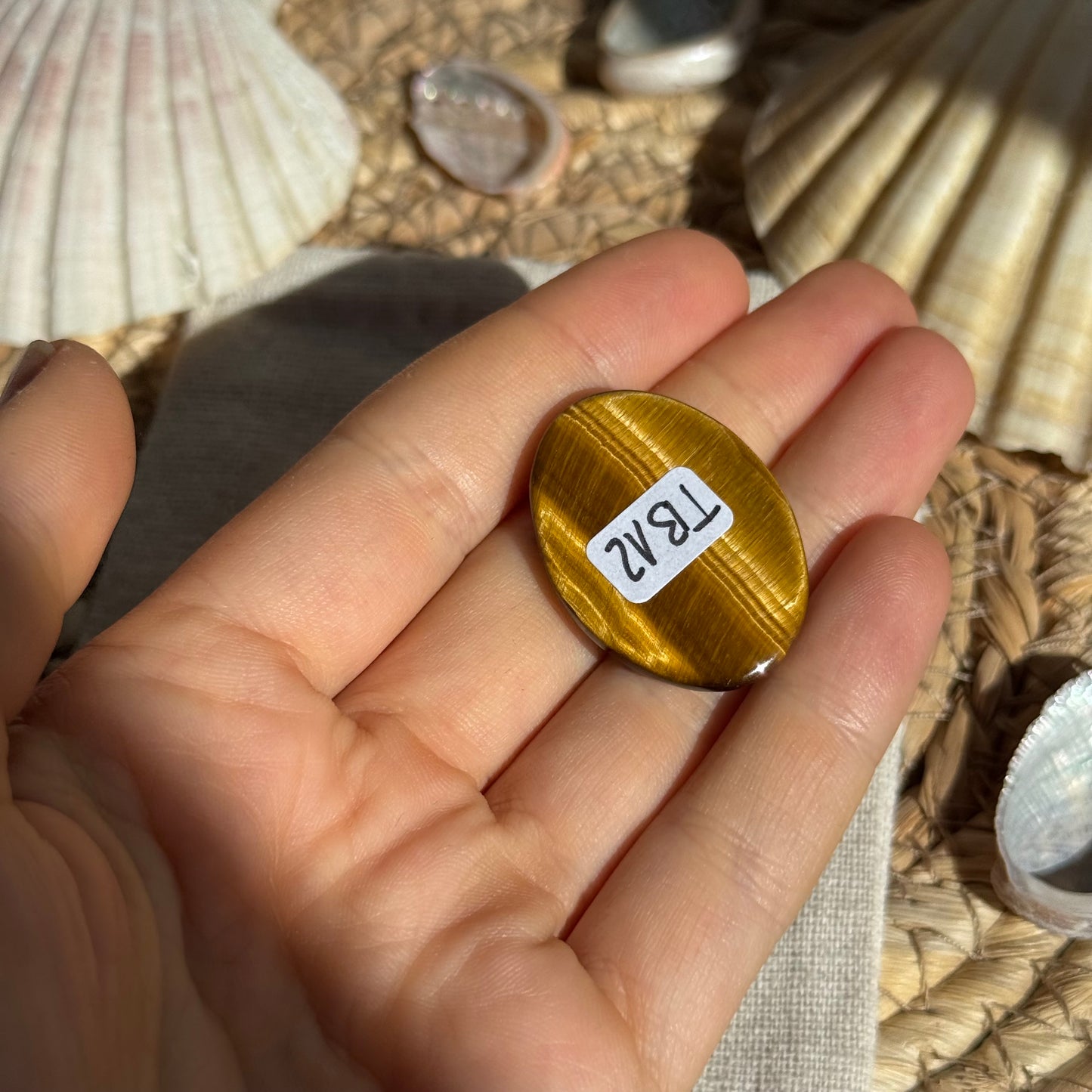 Tigerauge Cabochon ~ TB12