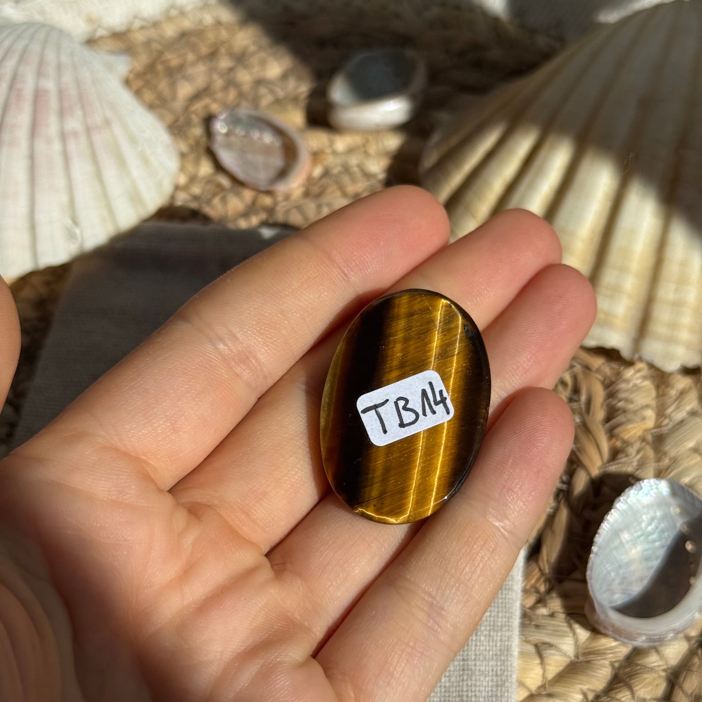 Tigerauge Cabochon ~ TB14
