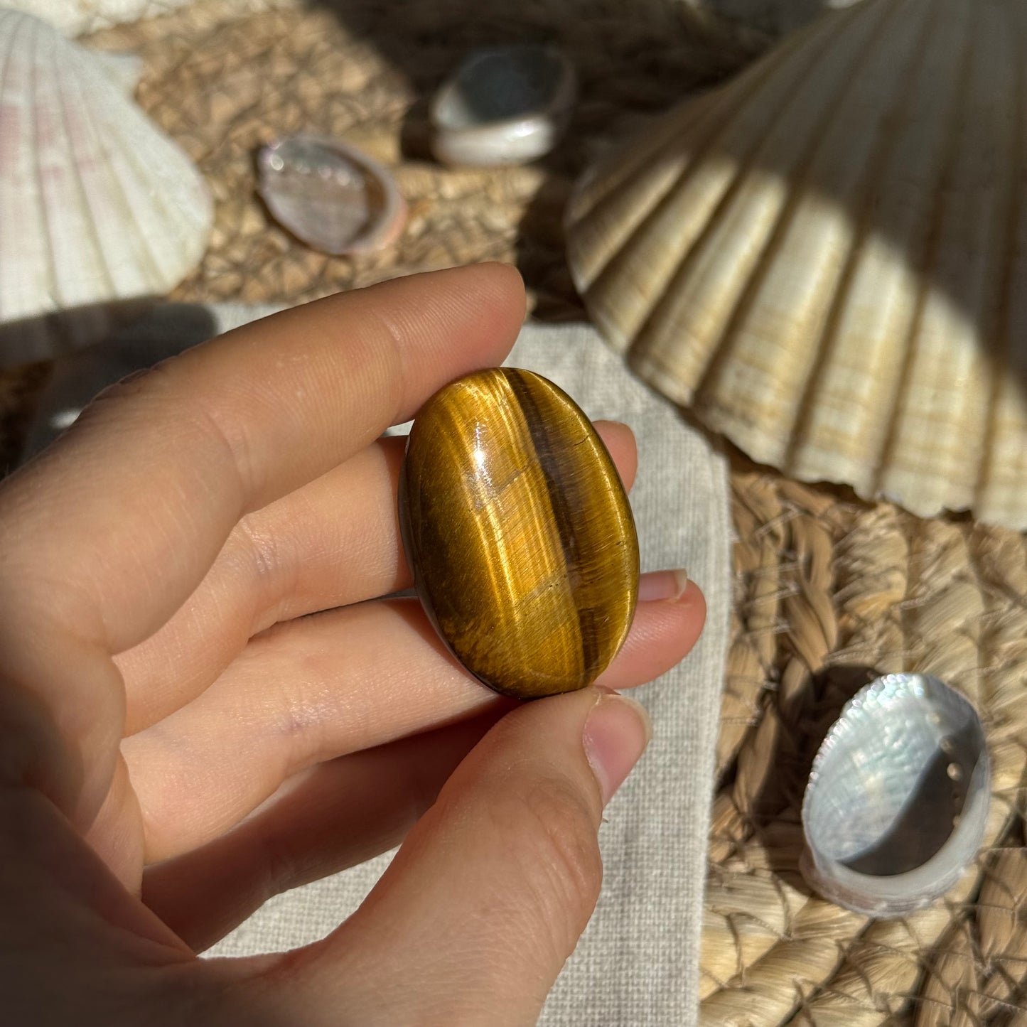 Tigerauge Cabochon ~ TA14