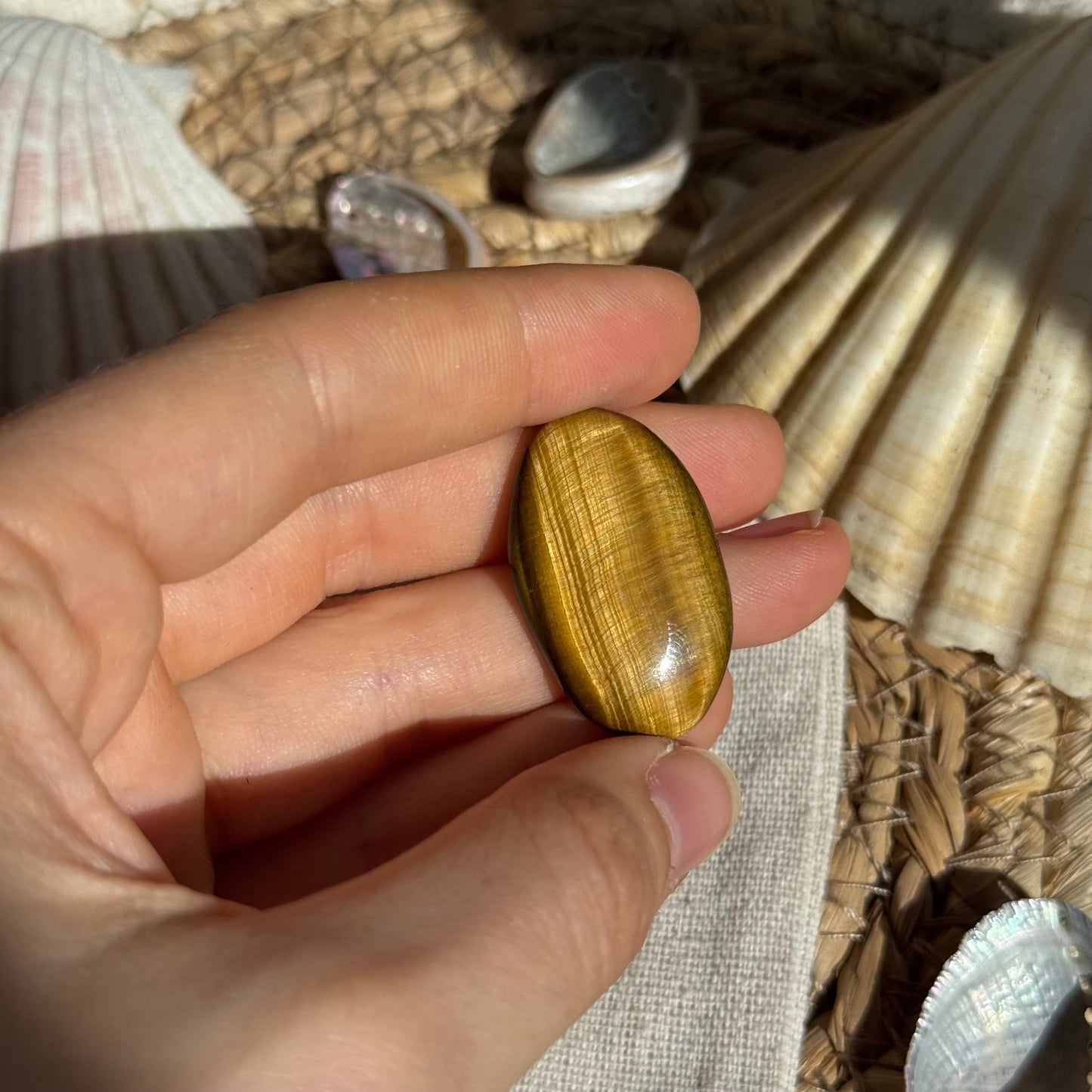 Tigerauge Cabochon ~ TU9