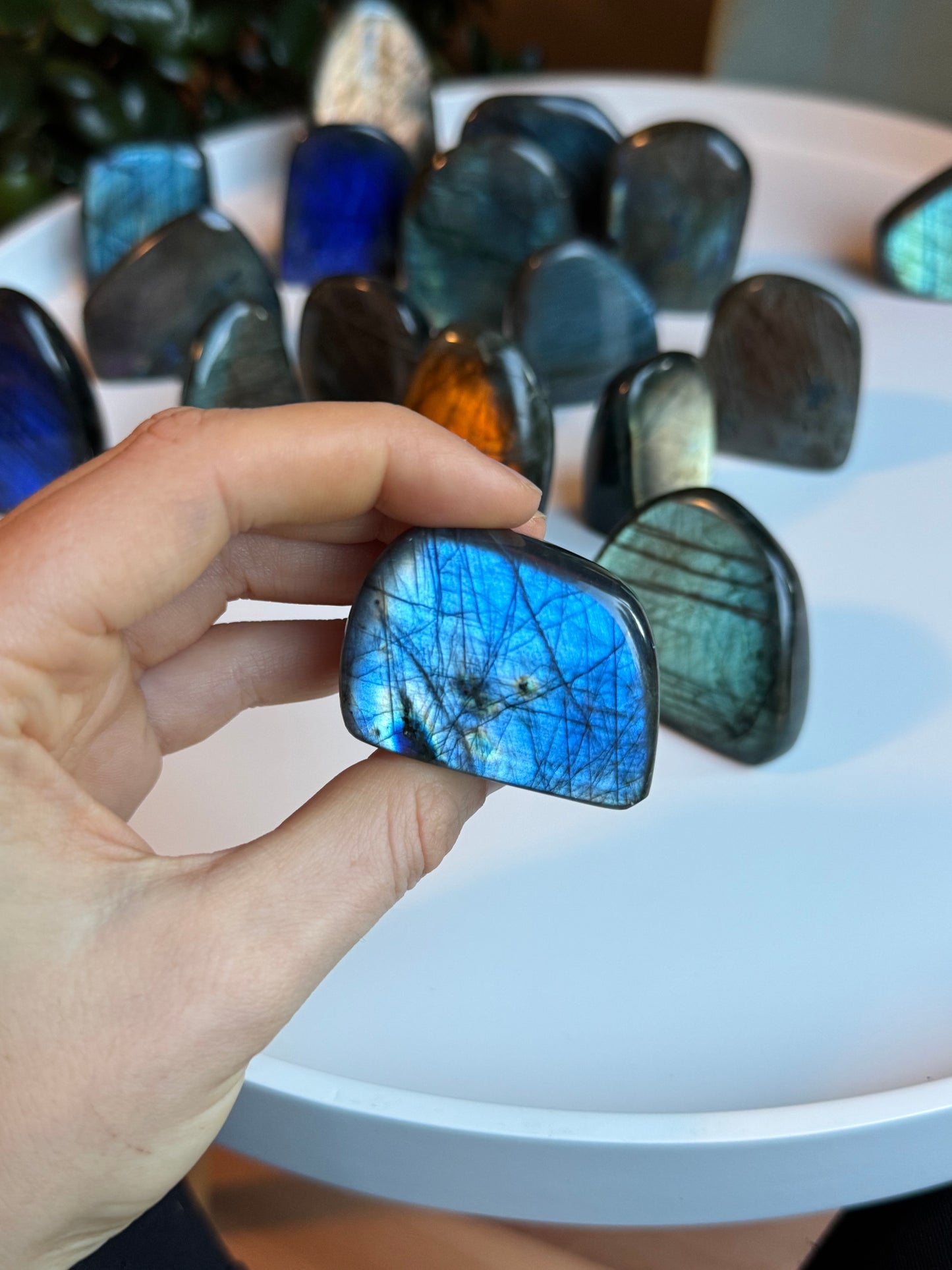 Labradorit freiform ~ G17