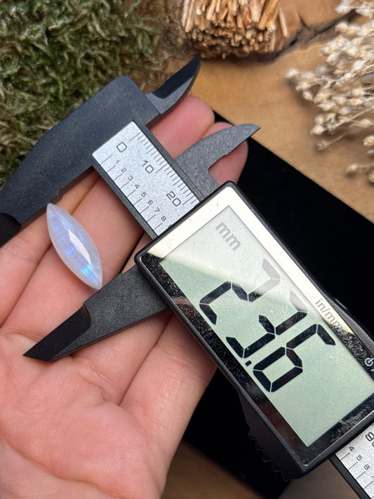 Regenbogen Mondstein /Weißer Labradorit ~ 6kh