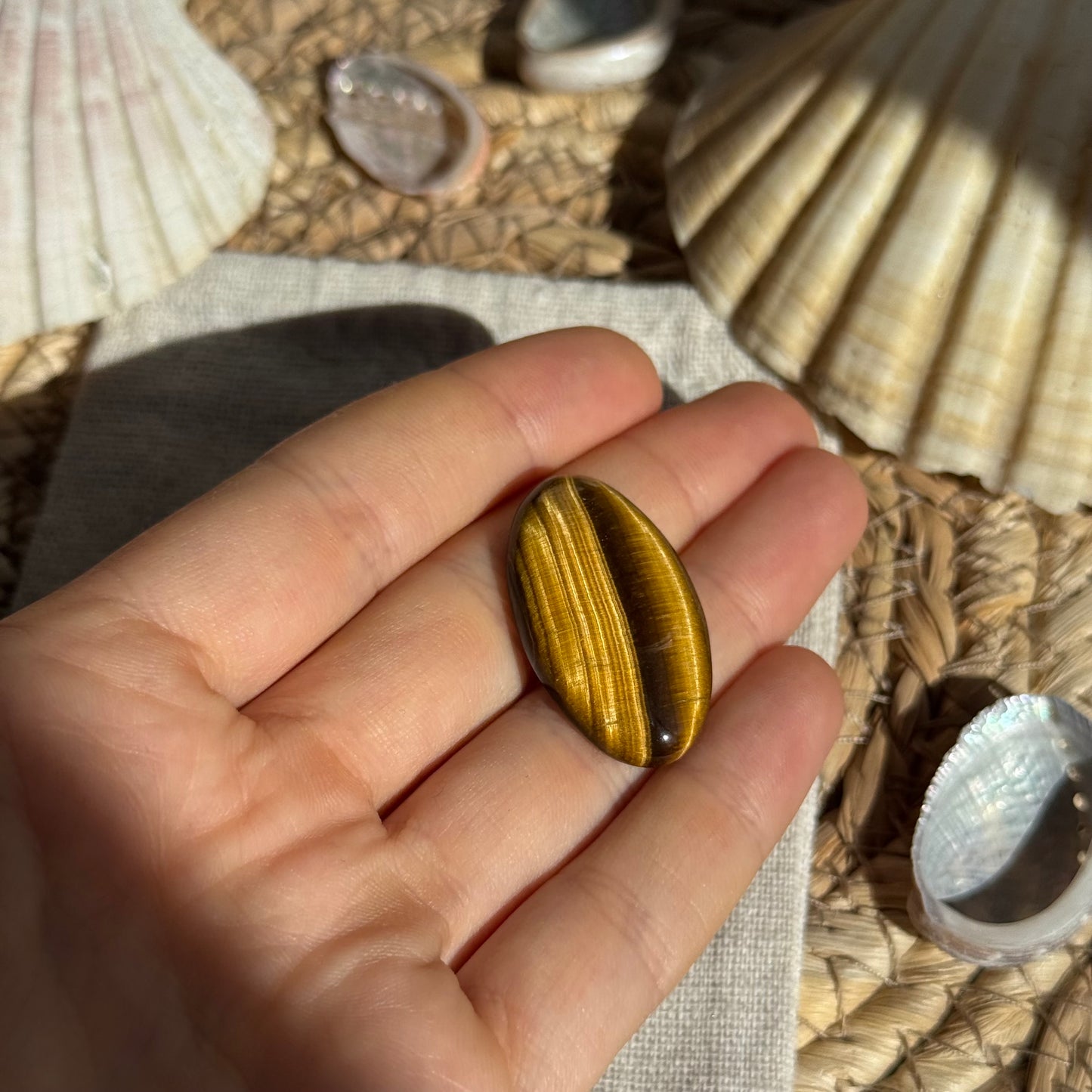 Tigerauge Cabochon ~ TJ9