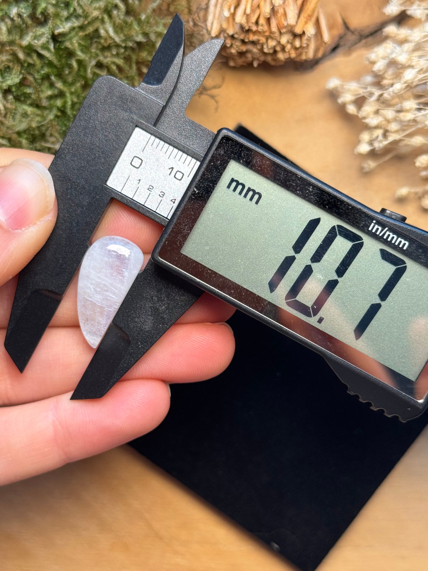 Regenbogen Mondstein /Weißer Labradorit ~ 6kg