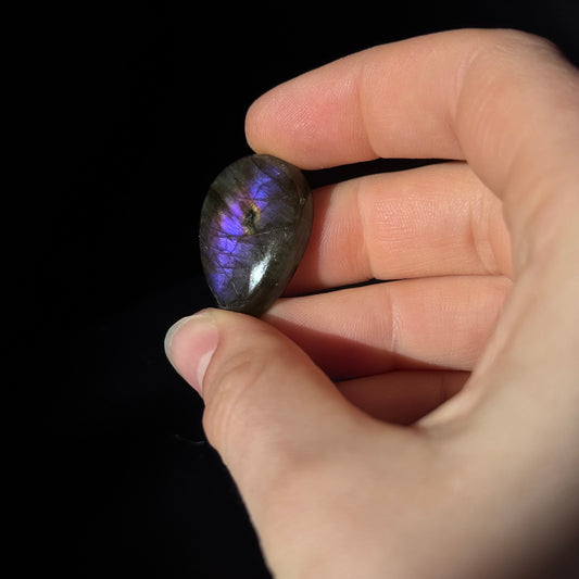 Lila Labradorit Cabochon ~ 14ZL