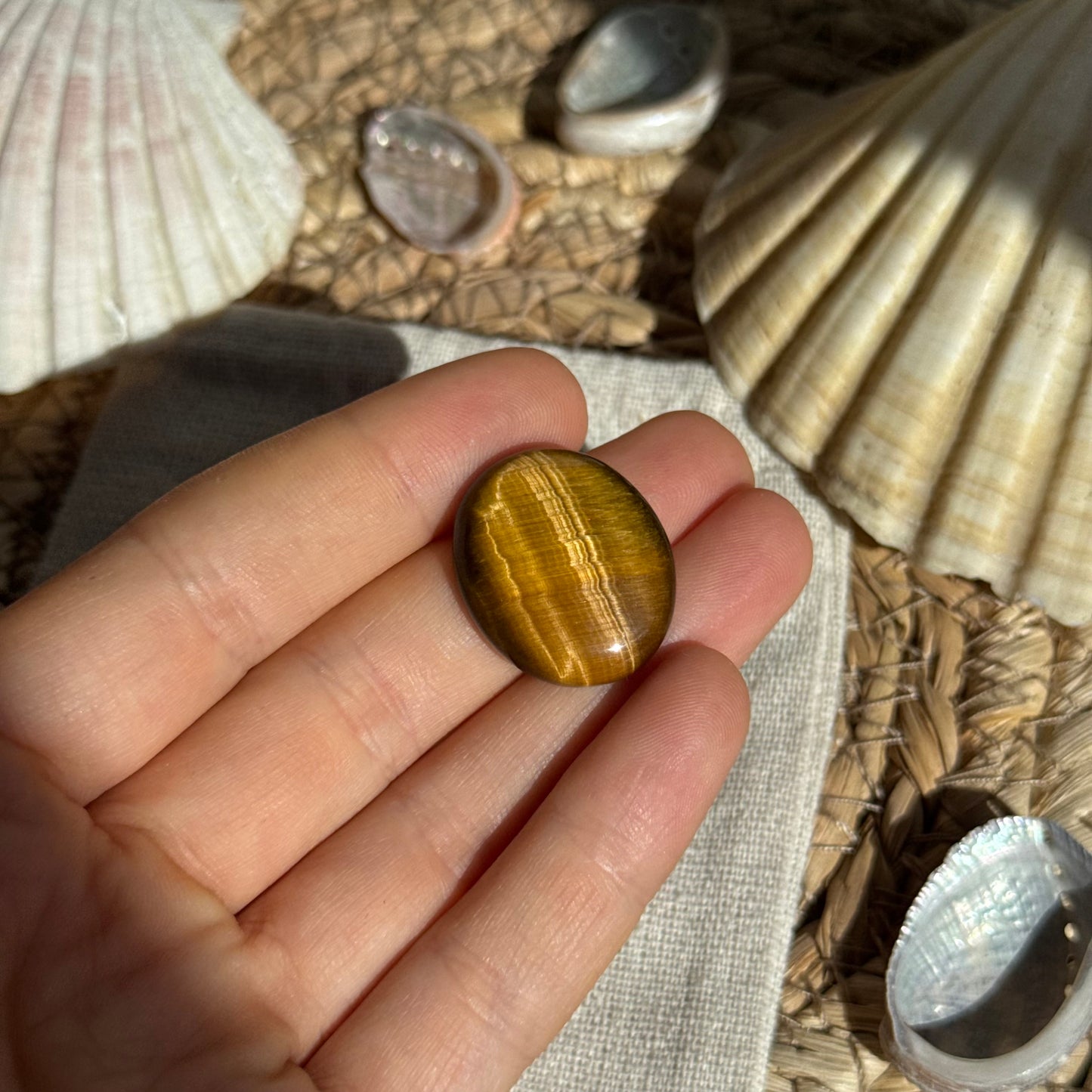 Tigerauge Cabochon ~ TS7