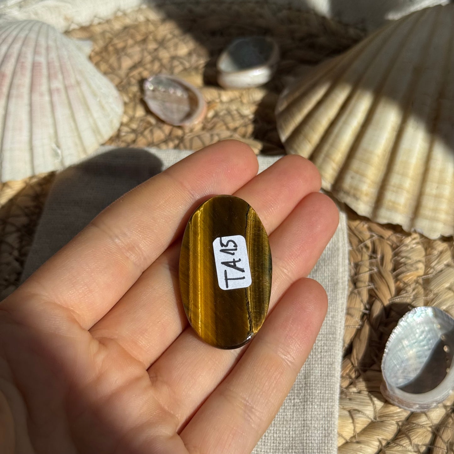 Tigerauge Cabochon ~ TA15