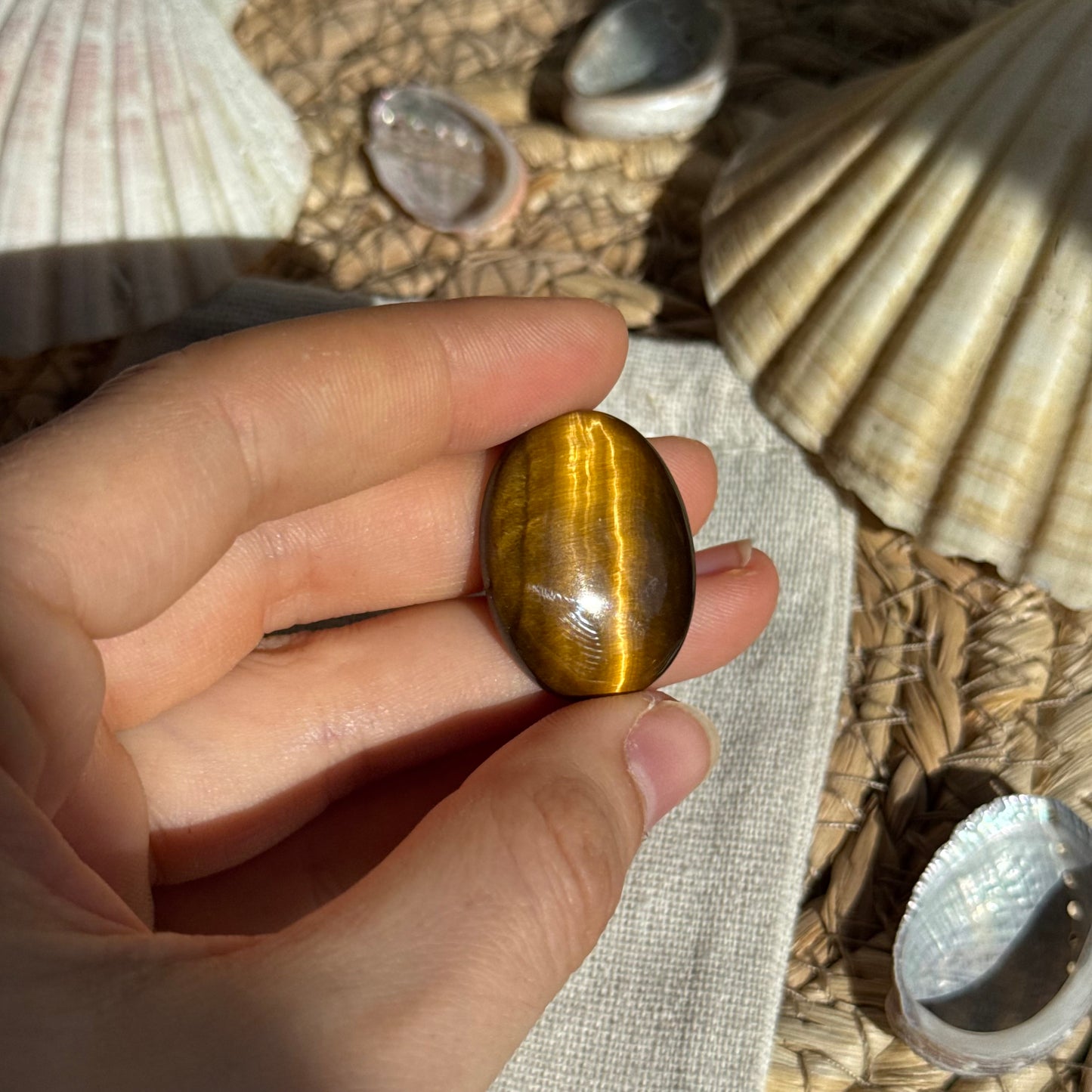 Tigerauge Cabochon ~ TY9