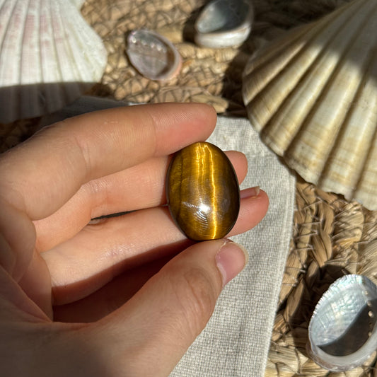 Tigerauge Cabochon ~ TY9