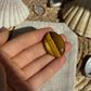 Tigerauge Cabochon ~ TB13
