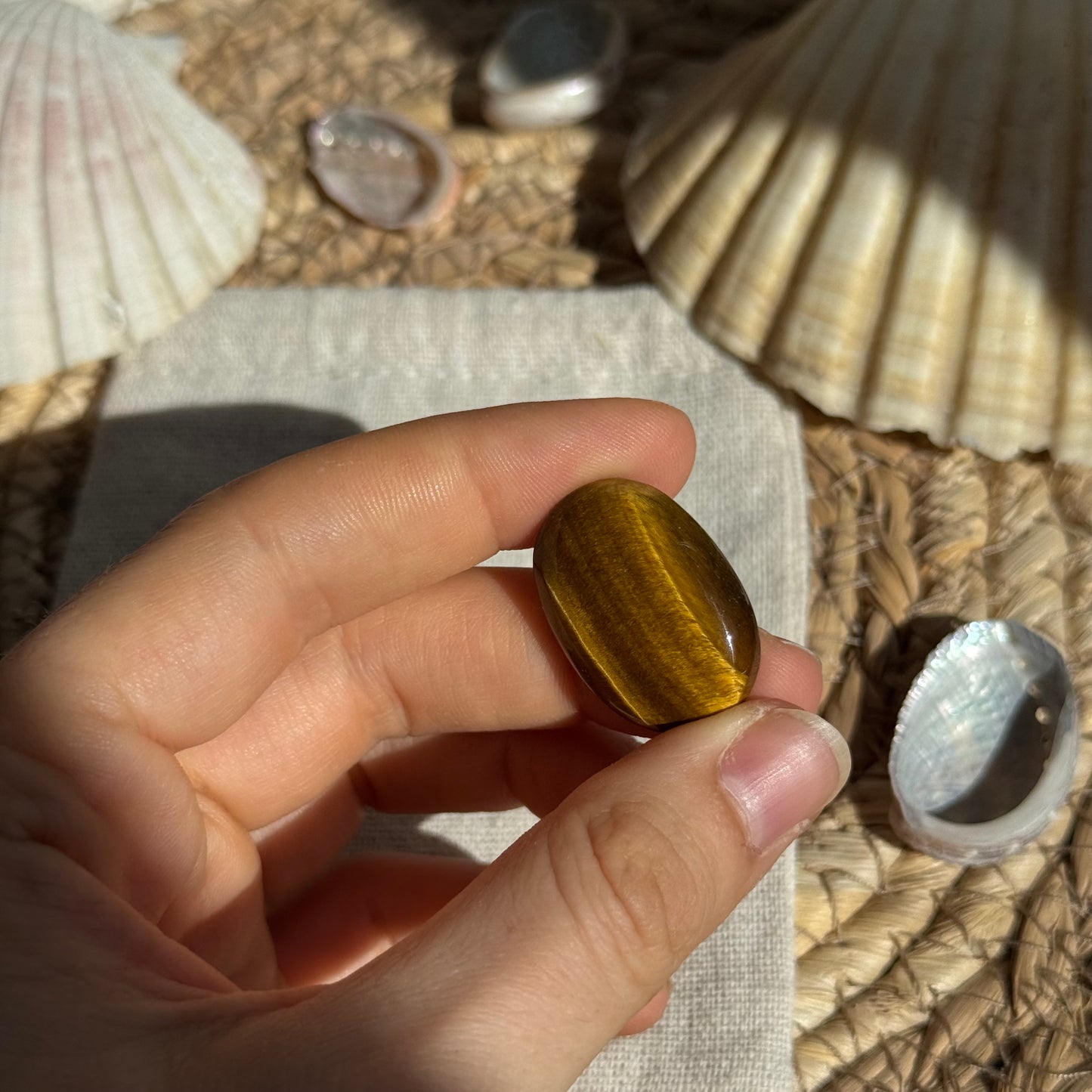 Tigerauge Cabochon ~ TA9