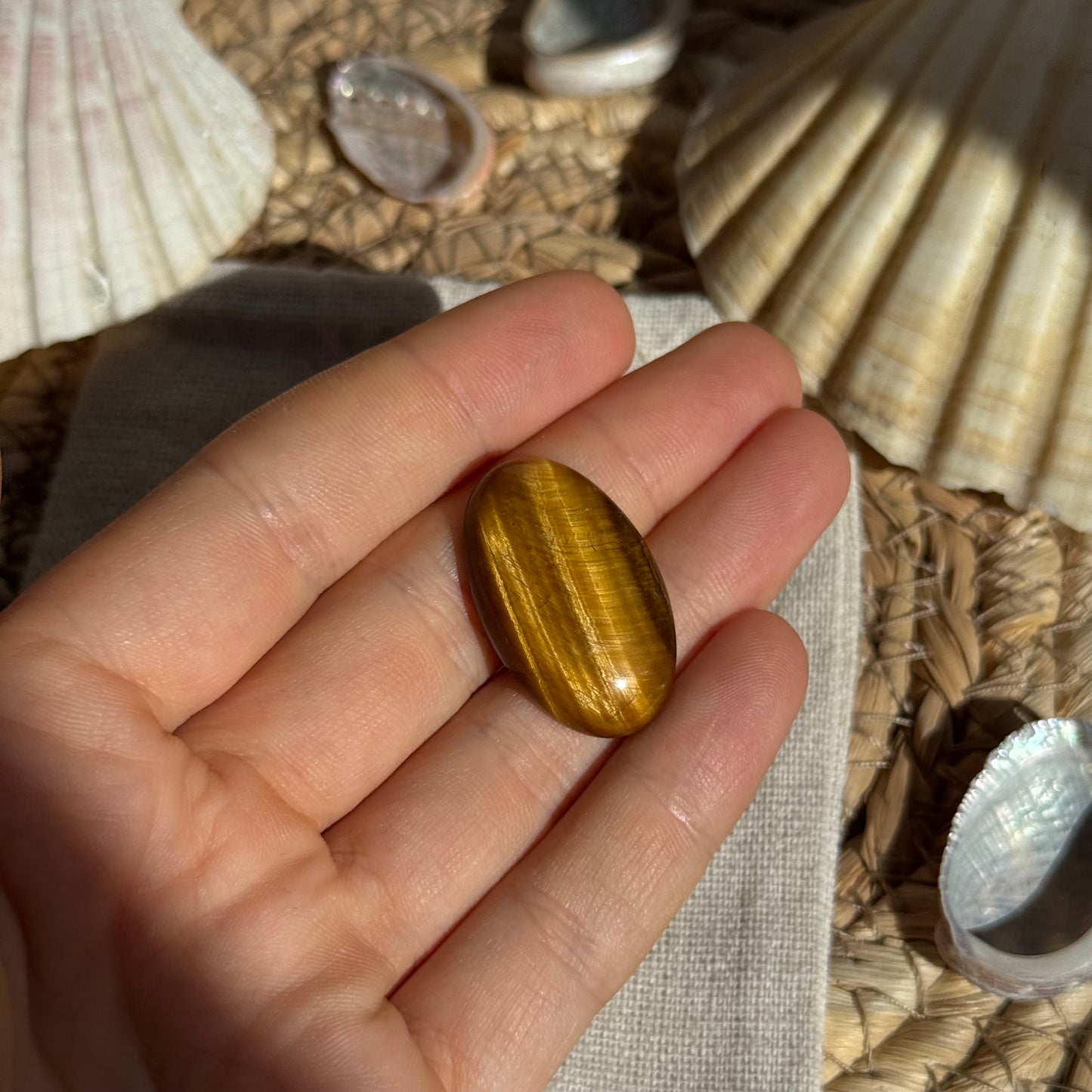 Tigerauge Cabochon ~ Ti8