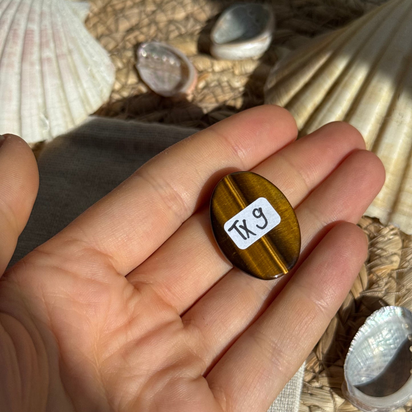 Tigerauge Cabochon ~ TX9