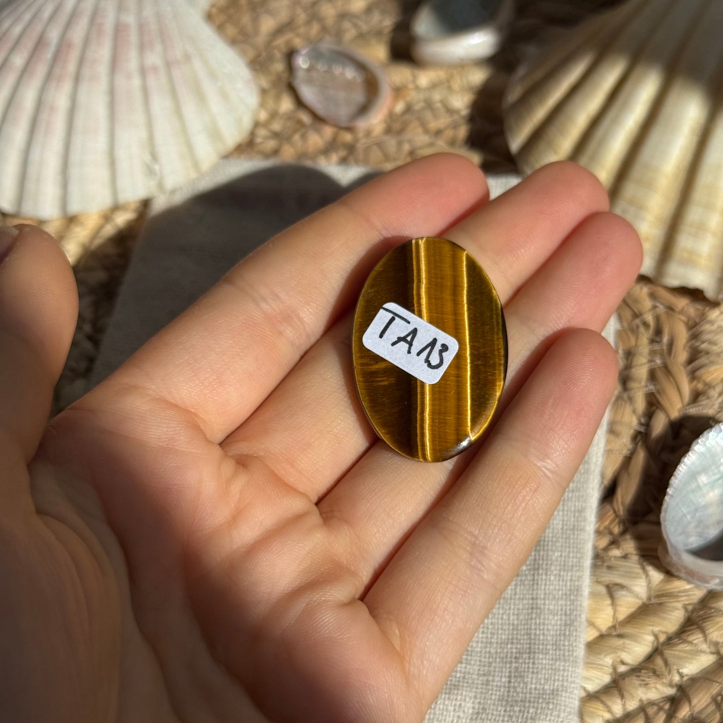 Tigerauge Cabochon ~ TA13