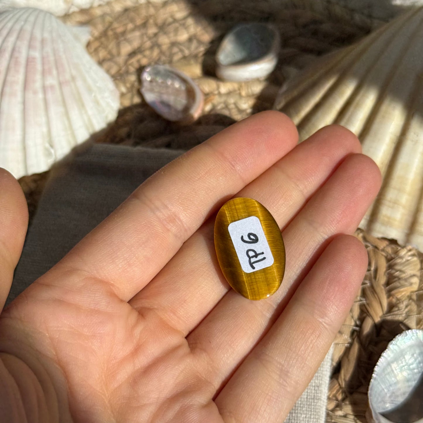 Tigerauge Cabochon ~ TP6