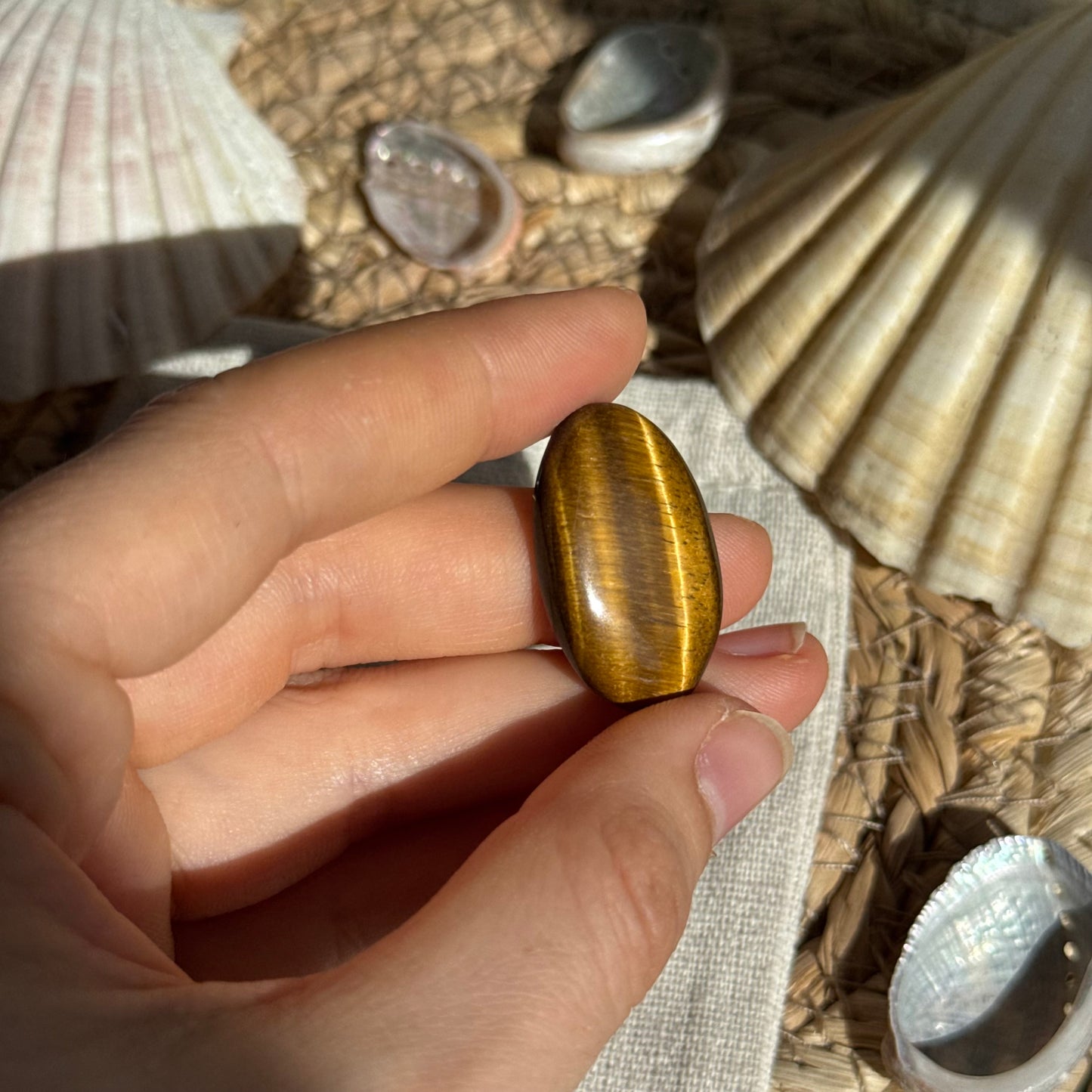Tigerauge Cabochon ~ TS8