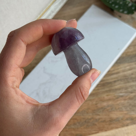 Fluorit Pilz ~ 10xa