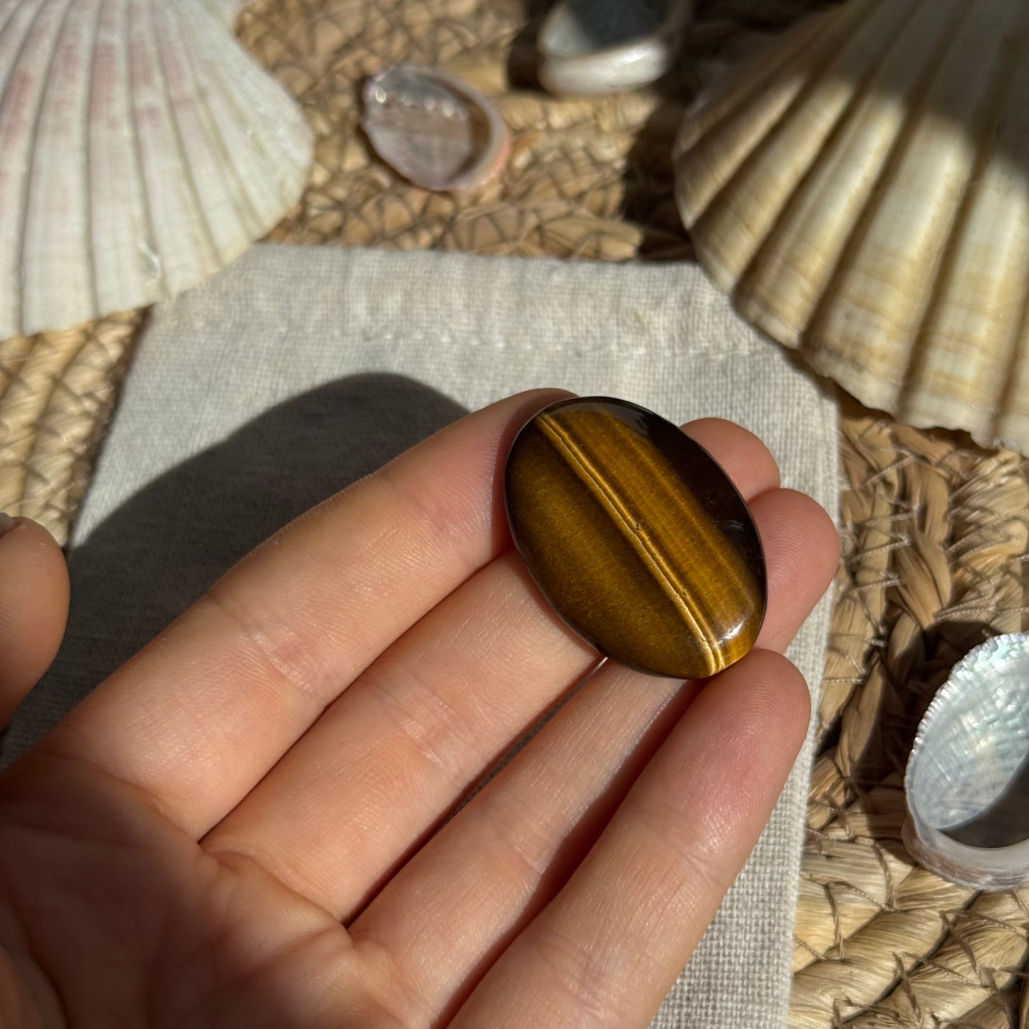 Tigerauge Cabochon ~ TA13