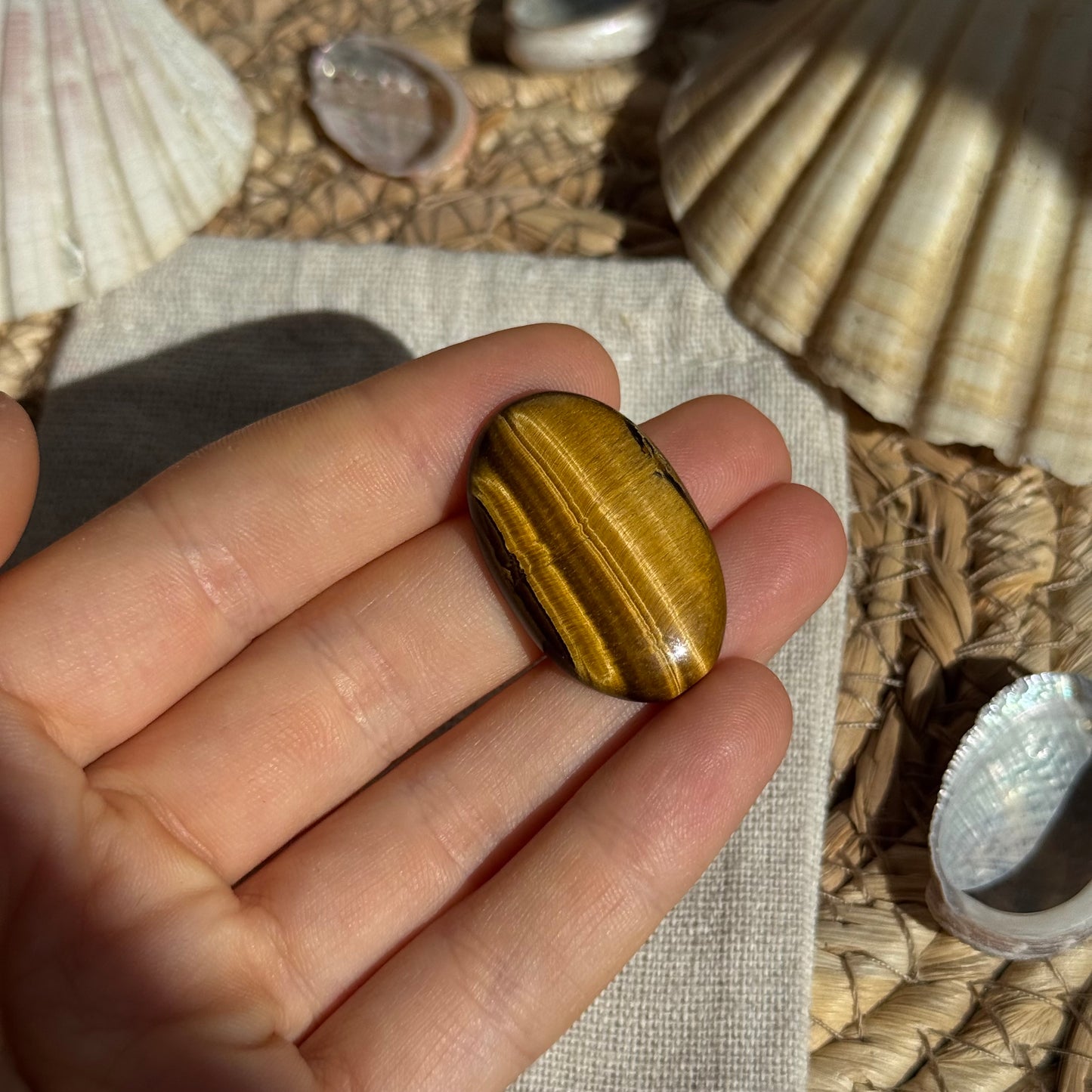 Tigerauge Cabochon ~ TE9