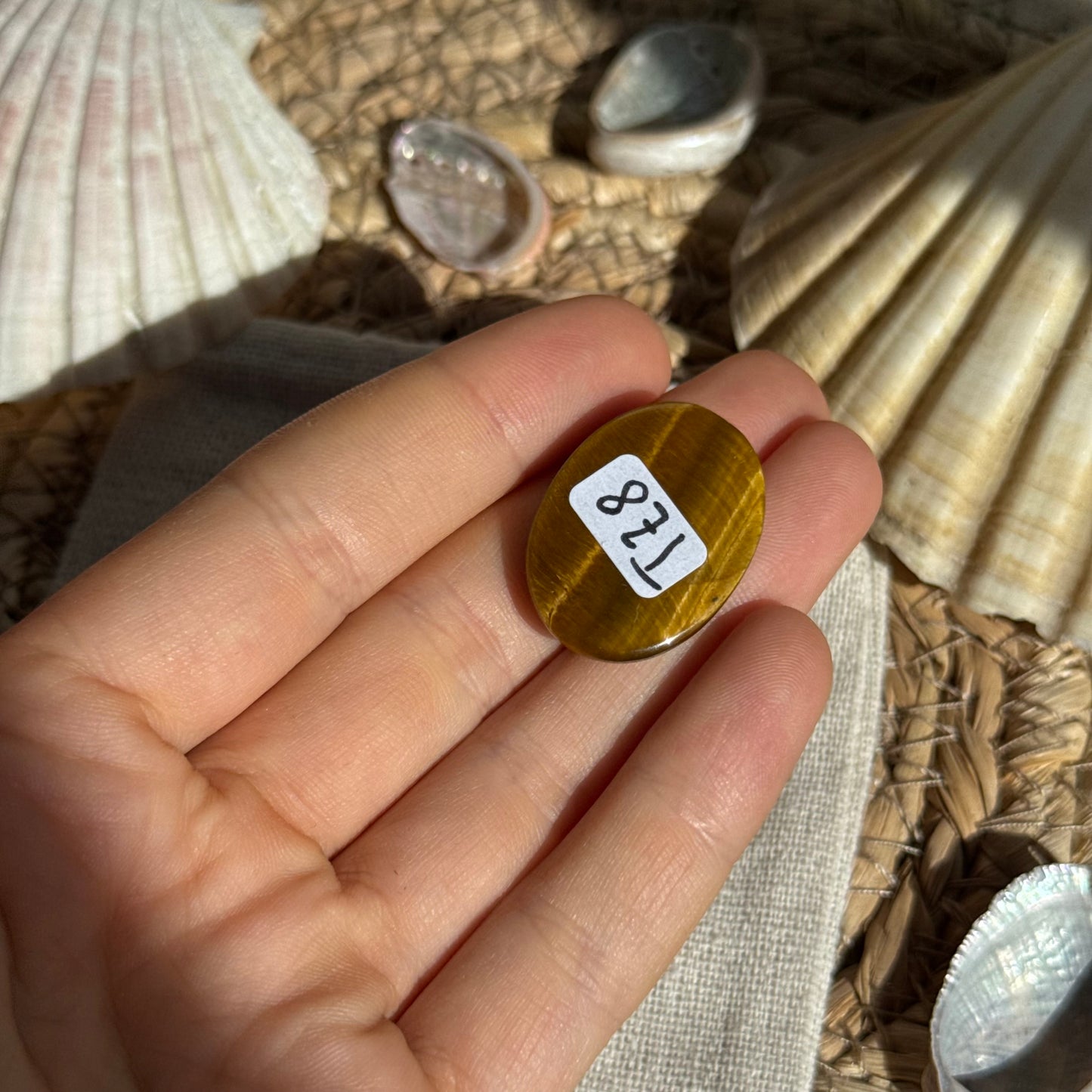 Tigerauge Cabochon ~ TZ8